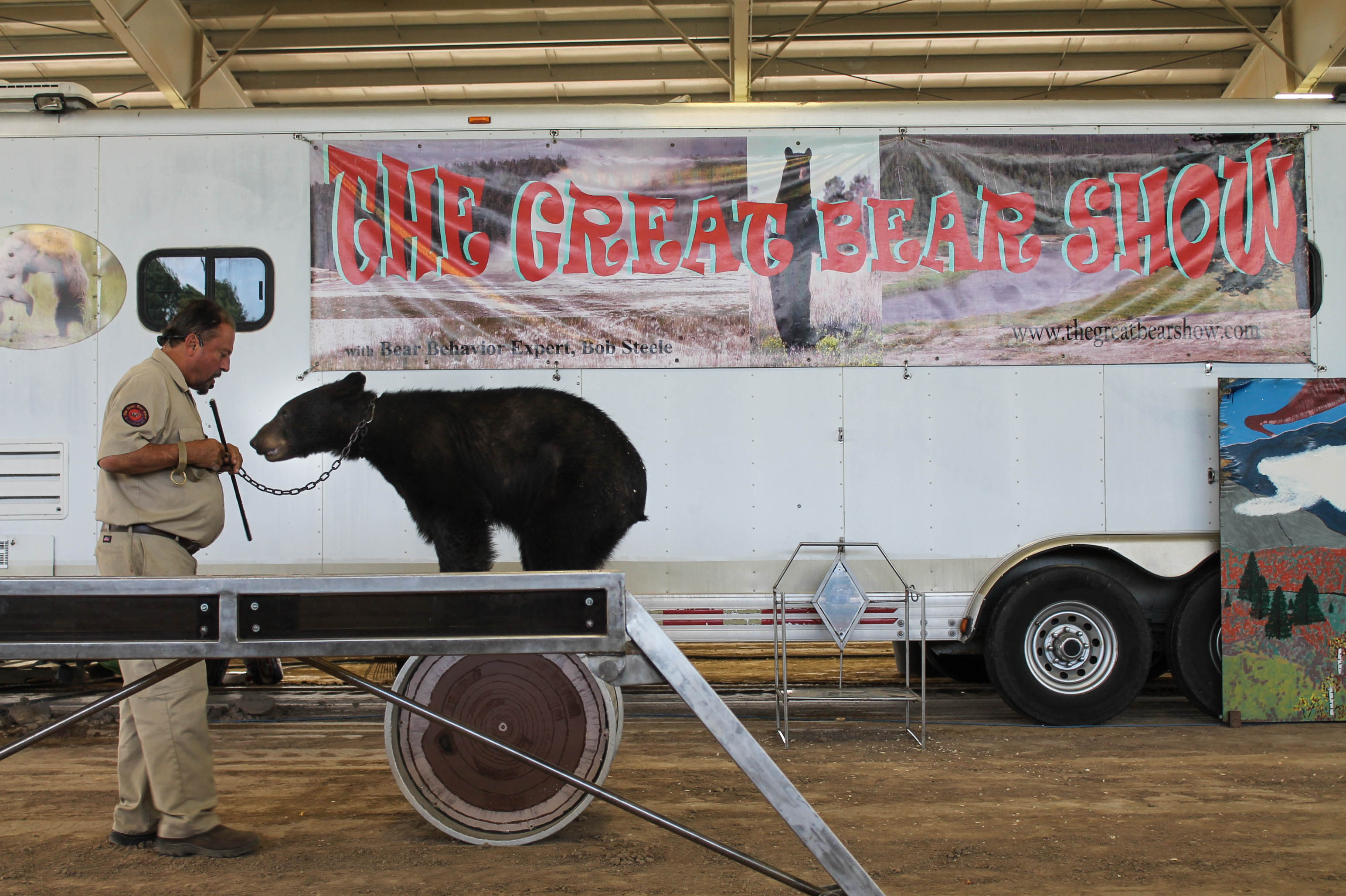 The Shameful Bear Circus at the Salt Lake County Fair