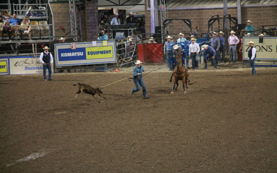 UARC Documents & Protests Cruelty at Days of ’47 Rodeo
