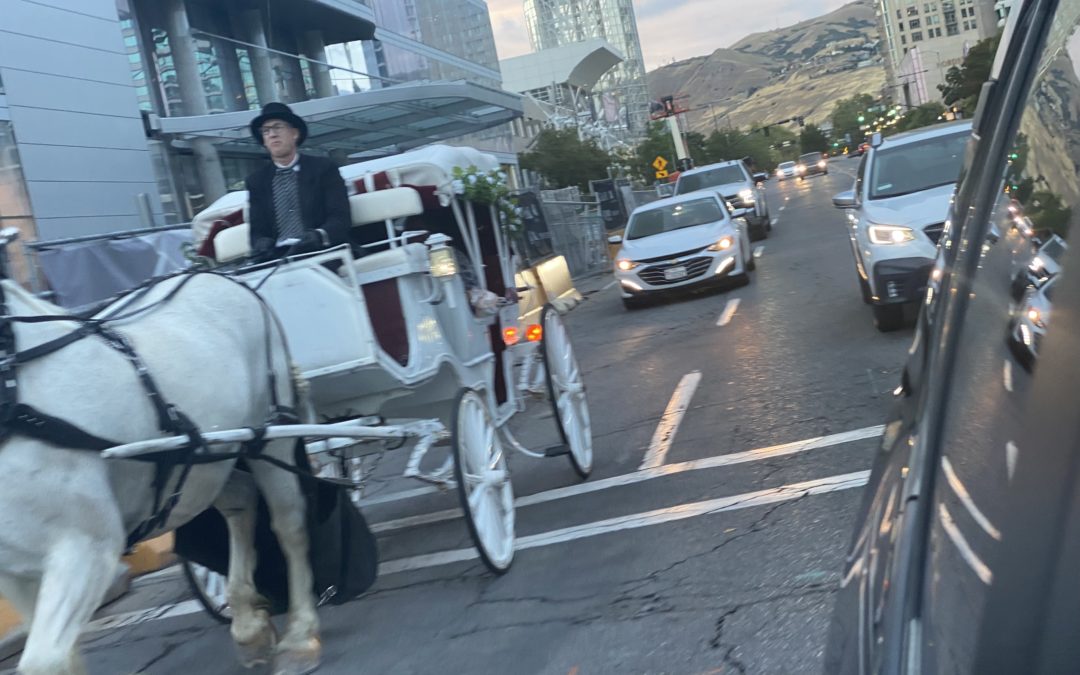 BUSTED: Horse-Drawn Carriage Company Caught Violating Ban in Salt Lake City